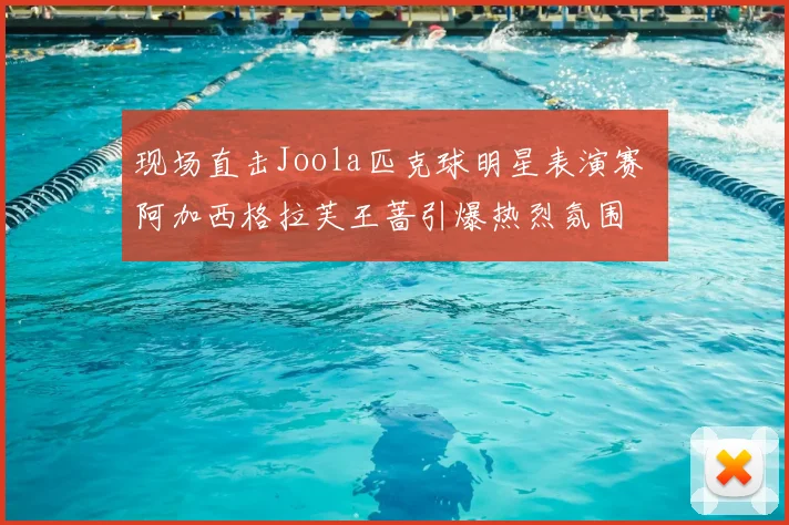 现场直击Joola匹克球明星表演赛 阿加西格拉芙王蔷引爆热烈氛围