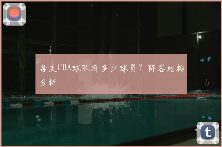 每支CBA球队有多少球员？阵容结构分析