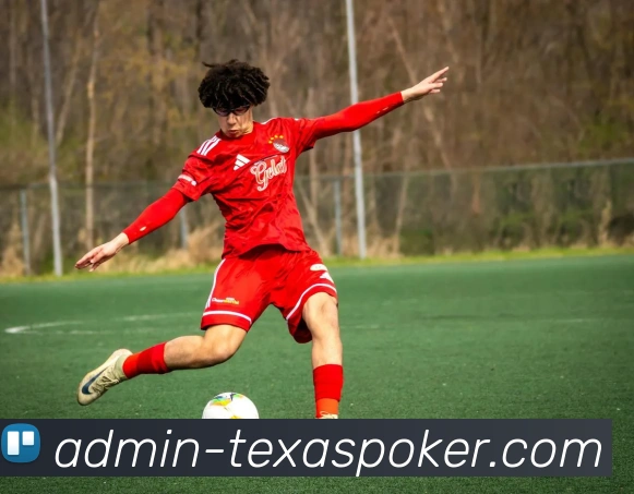 德州扑克平台生态图